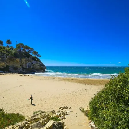 Mediterranea Planet Costa Dorada 萨洛
